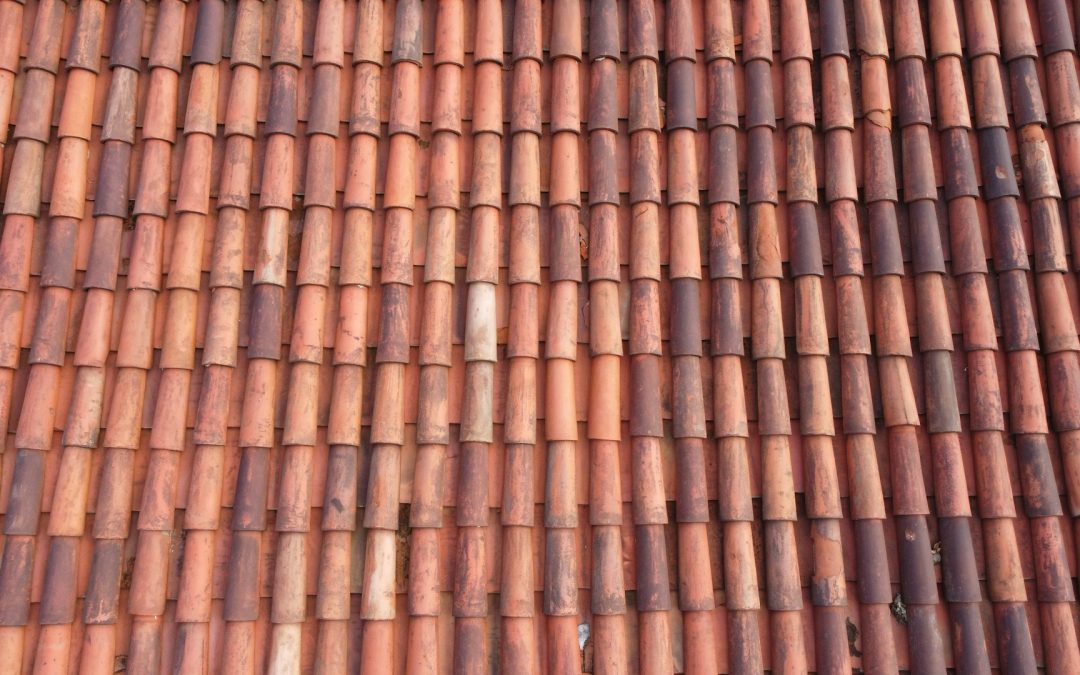 Why Clay Tile Roofing Handles Edina Winters Well
